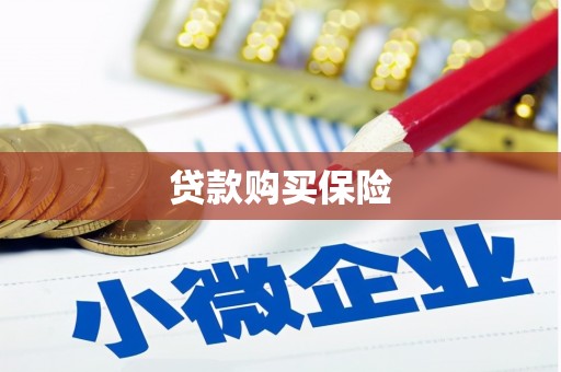 长岭贷款购买保险