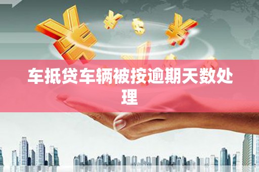 长岭车抵贷车辆被按逾期天数处理