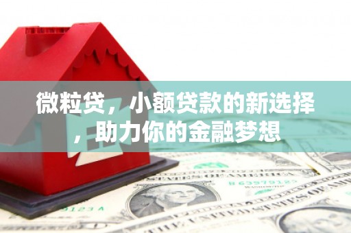 新巴尔虎右旗微粒贷，小额贷款的新选择，助力你的金融梦想
