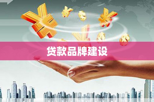 永善贷款品牌建设