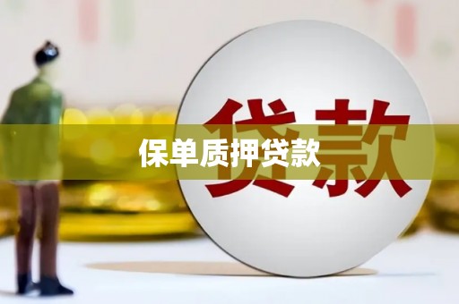 永善保单质押贷款