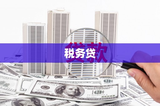 永善税务贷