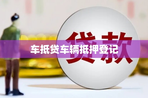 长岭车抵贷车辆抵押登记