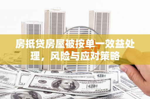 友好房抵贷房屋被按单一效益处理，风险与应对策略
