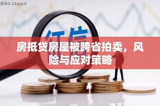 江岸房抵贷房屋被跨省拍卖，风险与应对策略