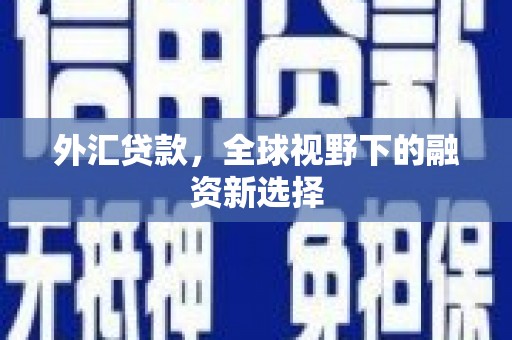 怀宁外汇贷款，全球视野下的融资新选择