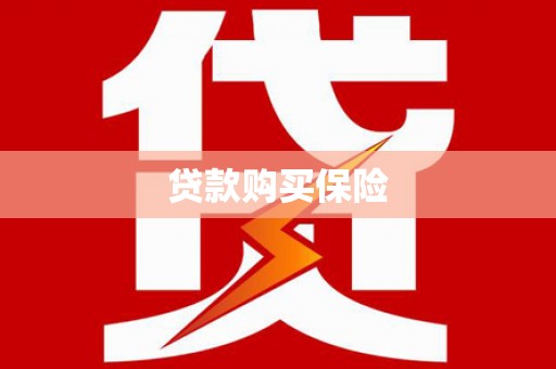 天等贷款购买保险