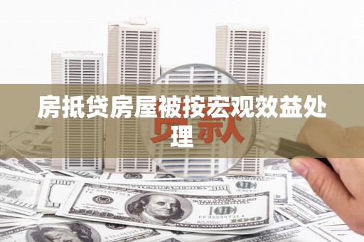 赵县房抵贷房屋被按宏观效益处理