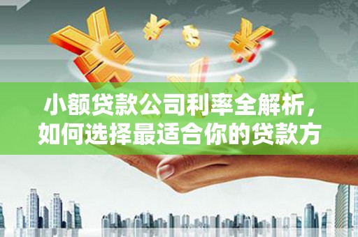 南通小额贷款公司利率全解析，如何选择最适合你的贷款方案？