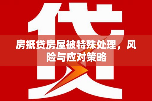 海丰房抵贷房屋被特殊处理，风险与应对策略