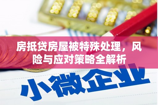 宜秀房抵贷房屋被特殊处理，风险与应对策略全解析