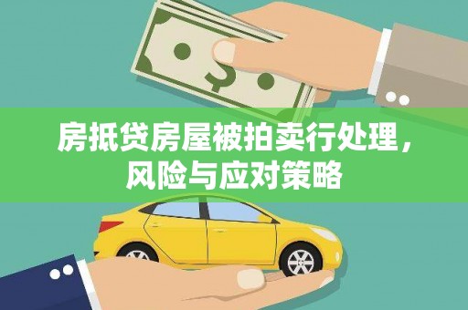 宜秀房抵贷房屋被拍卖行处理，风险与应对策略