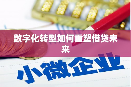 柯坪数字化转型如何重塑借贷未来