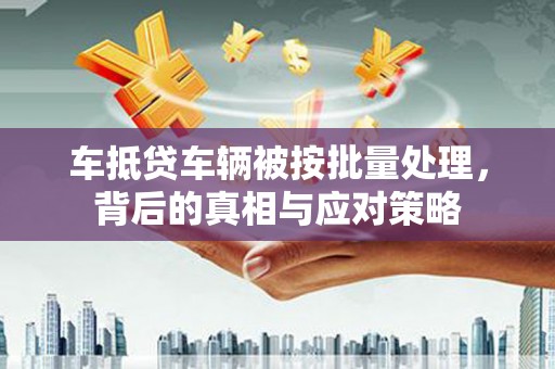 博野车抵贷车辆被按批量处理，背后的真相与应对策略