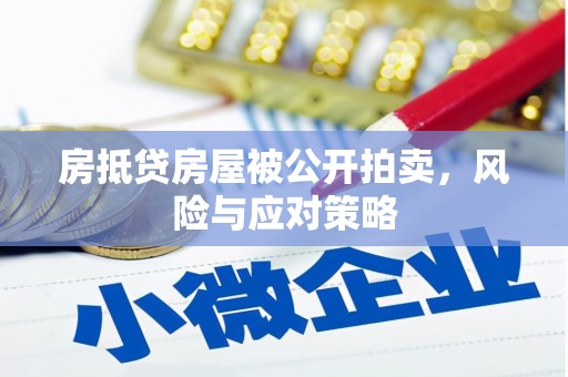 扬州房抵贷房屋被公开拍卖，风险与应对策略