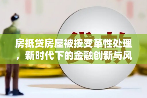 浔阳房抵贷房屋被按变革性处理，新时代下的金融创新与风险防范