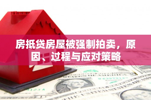 沙市房抵贷房屋被强制拍卖，原因、过程与应对策略