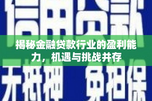 金川揭秘金融贷款行业的盈利能力，机遇与挑战并存