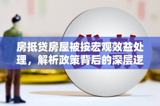 陆川房抵贷房屋被按宏观效益处理，解析政策背后的深层逻辑与影响