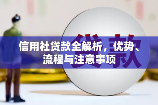 忻城信用社贷款全解析，优势、流程与注意事项