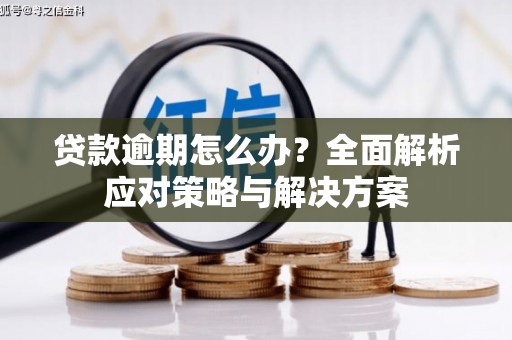 贵定贷款逾期怎么办？全面解析应对策略与解决方案