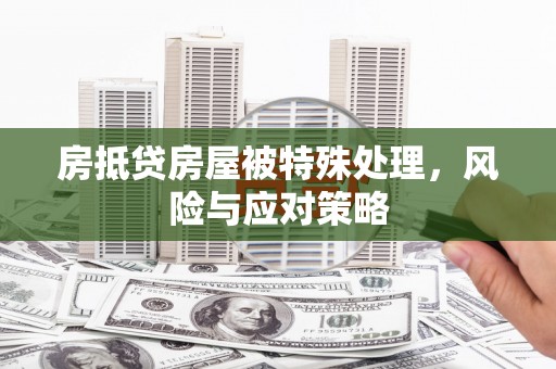 贵定房抵贷房屋被特殊处理，风险与应对策略
