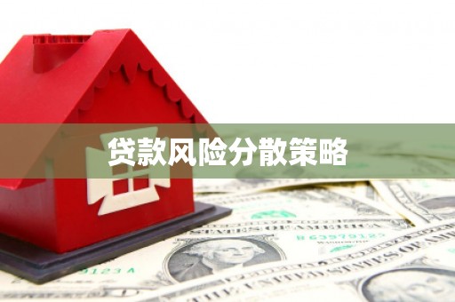 马尾贷款风险分散策略