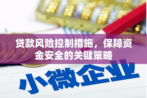 巴楚贷款风险控制措施，保障资金安全的关键策略