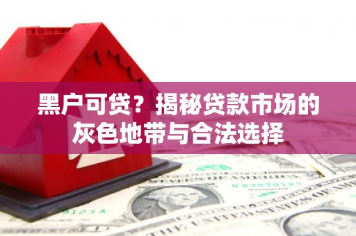 金川黑户可贷？揭秘贷款市场的灰色地带与合法选择