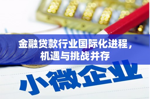 西岗金融贷款行业国际化进程，机遇与挑战并存