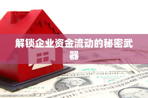 枋寮解锁企业资金流动的秘密武器
