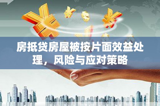 马尾房抵贷房屋被按片面效益处理，风险与应对策略