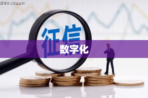 漳浦数字化
