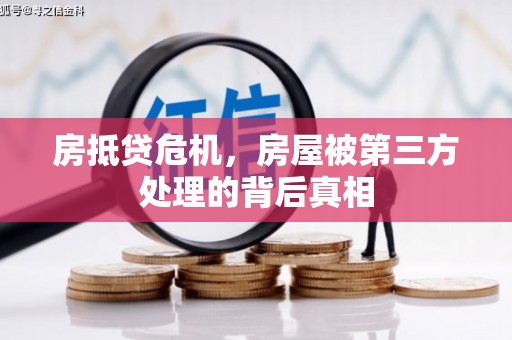 定兴房抵贷危机，房屋被第三方处理的背后真相