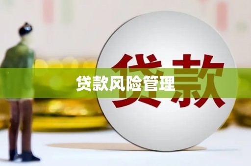 共和贷款风险管理
