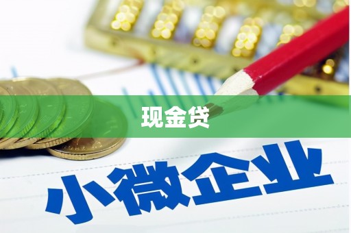 共和现金贷
