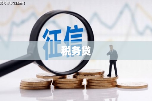 西屯税务贷