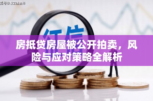 尧都房抵贷房屋被公开拍卖，风险与应对策略全解析