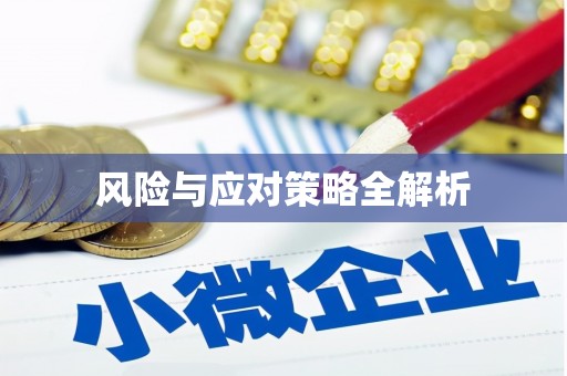 枞阳风险与应对策略全解析