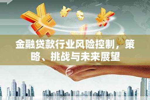 枞阳金融贷款行业风险控制，策略、挑战与未来展望