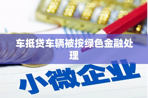 田家庵车抵贷车辆被按绿色金融处理