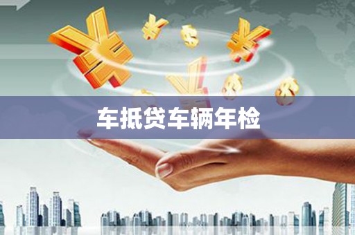 海宁车抵贷车辆年检
