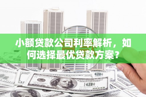 陵川小额贷款公司利率解析，如何选择最优贷款方案？