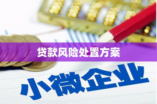 兴海贷款风险处置方案