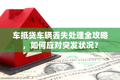 中卫车抵贷车辆丢失处理全攻略，如何应对突发状况？