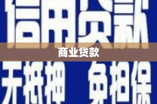 德城商业贷款