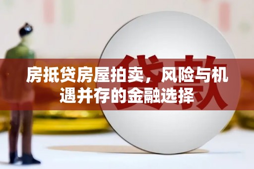 曲麻莱房抵贷房屋拍卖，风险与机遇并存的金融选择