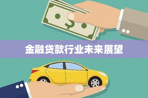 田寮金融贷款行业未来展望