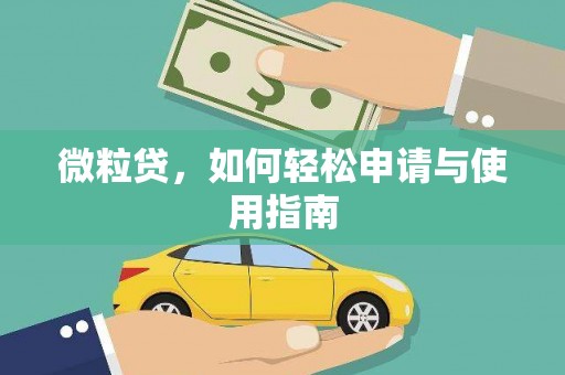 云岩微粒贷，如何轻松申请与使用指南