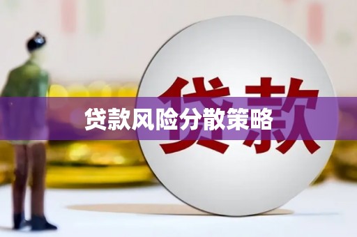 巴里坤贷款风险分散策略